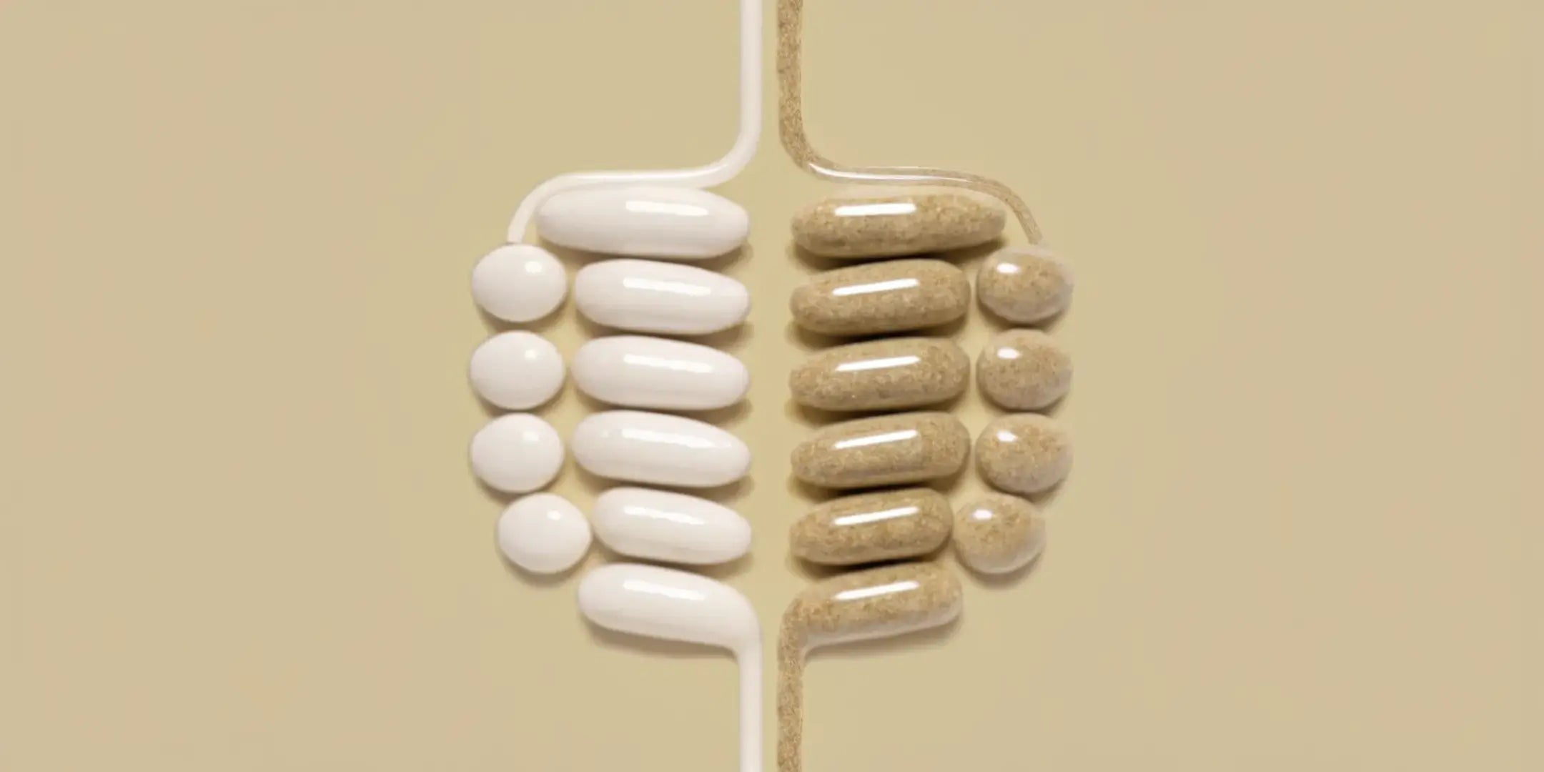 Dlaczego coraz więcej osób wybiera postbiotyki zamiast probiotyków dla odporności, zdrowia jelit i mikrobioty jelitowej?