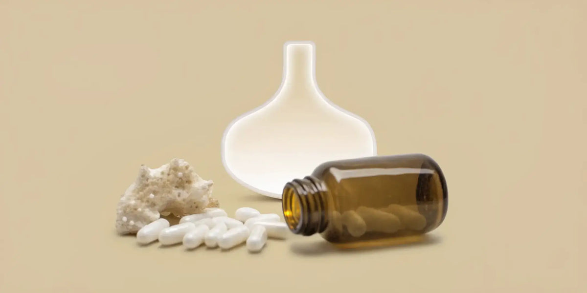 Postbiotyki czy probiotyki – co jest lepsze dla osób z wrażliwym żołądkiem i jelitami?