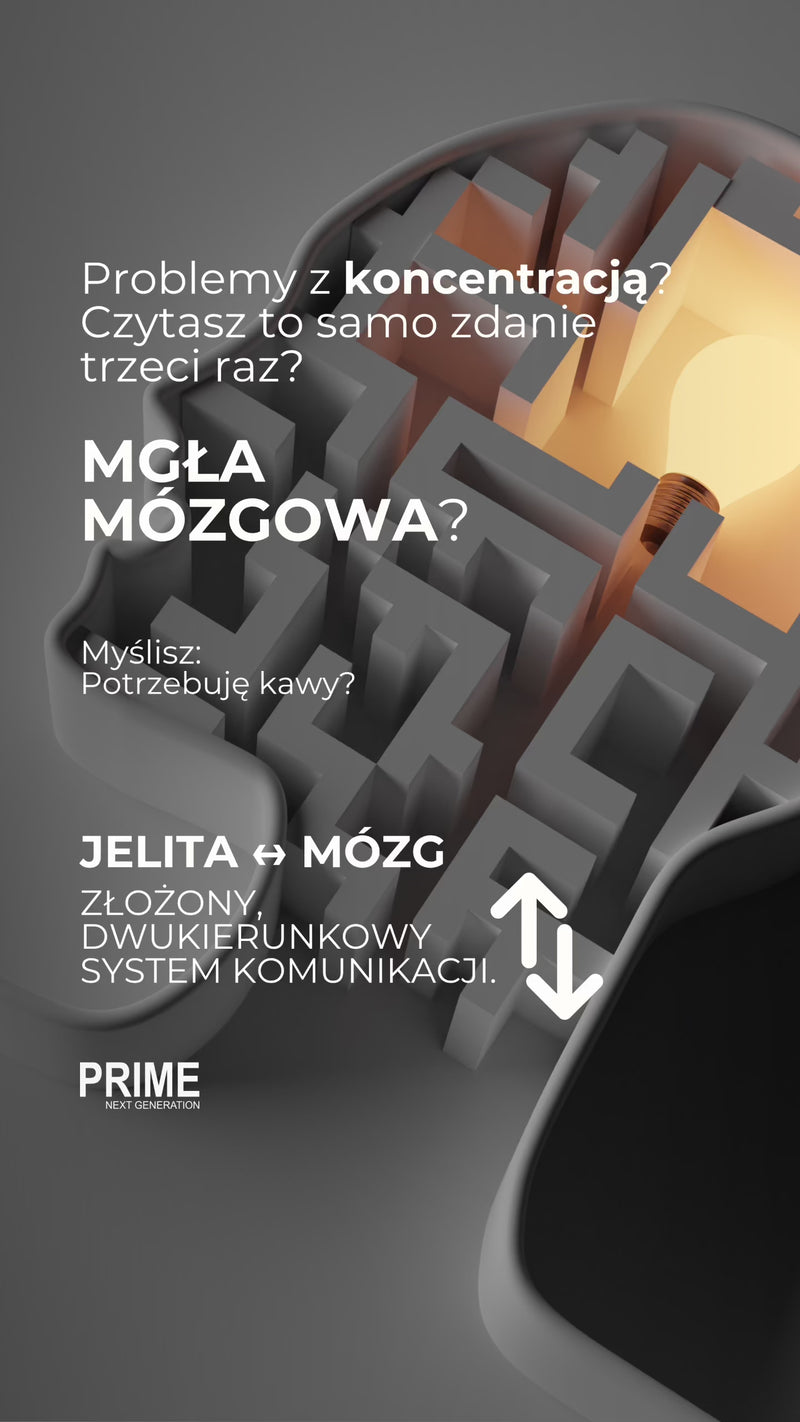 KONCENTRACJA. MGŁA MÓZGOWA.
